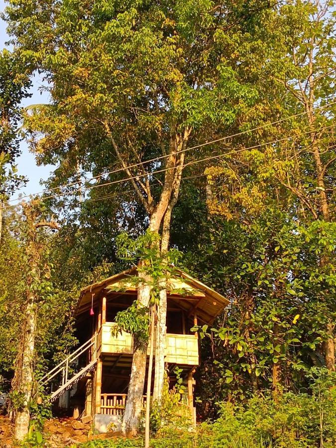 गेस्ट हाउस Fab - Bamboo Hut With Open Shower